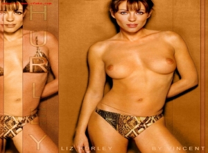 Fake : Elizabeth Hurley