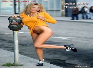 Fake : Leslie Bibb
