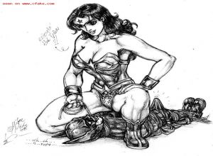 Fake : Wonder Woman
