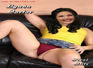 Fake : Lynda Carter