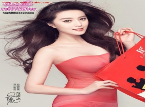 Fake : Fan Bingbing