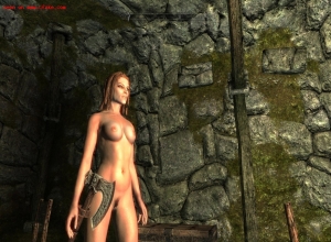 Fake : Skyrim