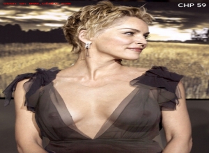 Fake : Sharon Stone