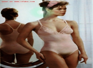 Fake : Elizabeth Montgomery
