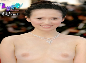 Fake : Zhang Ziyi