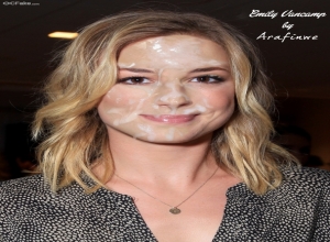 Fake : Emily VanCamp