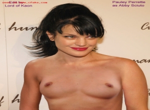 Fake : Pauley Perrette